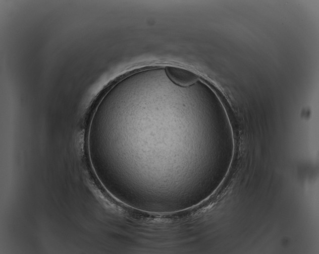 X0000095691503200801151136