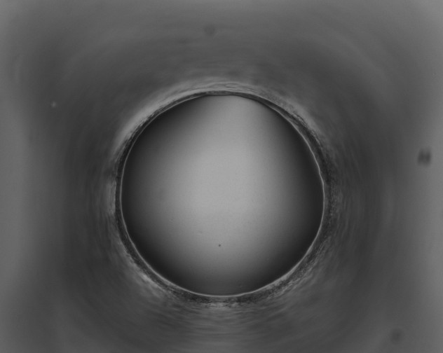 X0000095691504200801151136