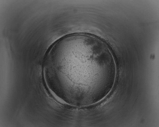X0000095691505200801151136