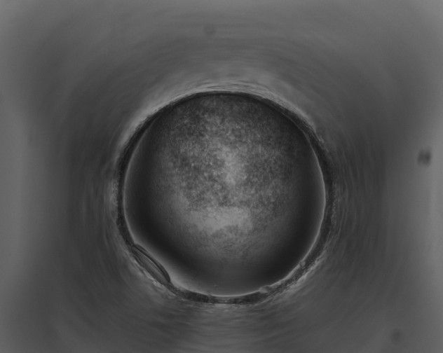 X0000095691506200801151136