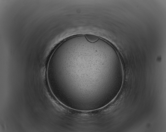 X0000095691507200801151136
