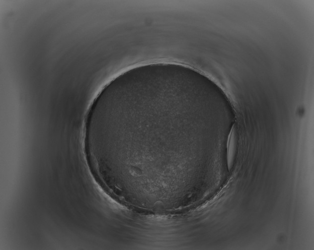 X0000095691508200801151136