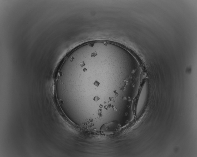 X0000095691509200801151136