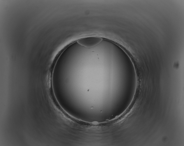 X0000095691510200801151136