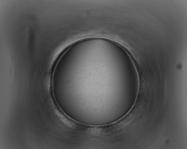 X0000095691511200801151136