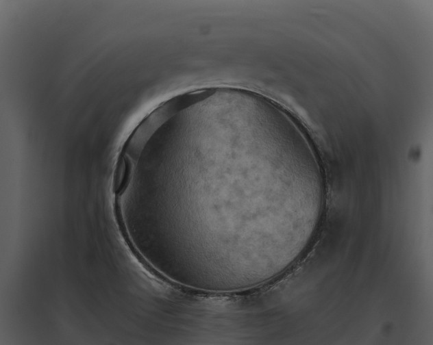 X0000095691512200801151136