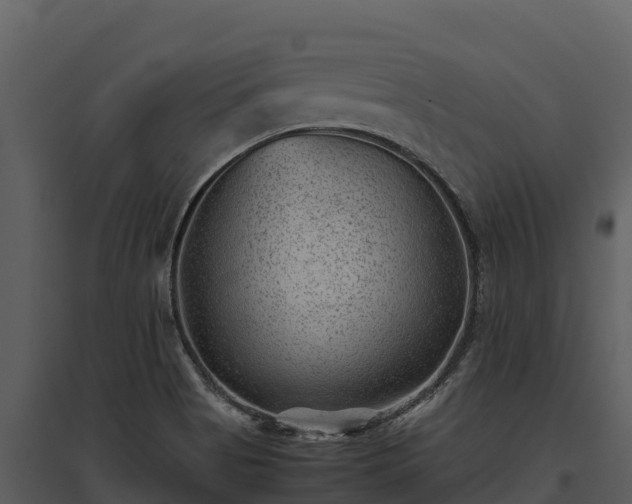 X0000095691513200801151137