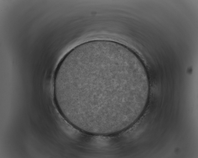 X0000095691514200801151137