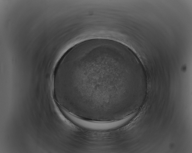 X0000095691515200801151137