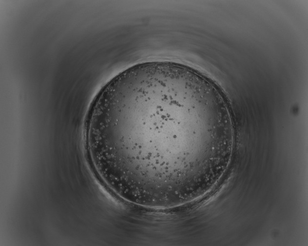 X0000095691517200801151137