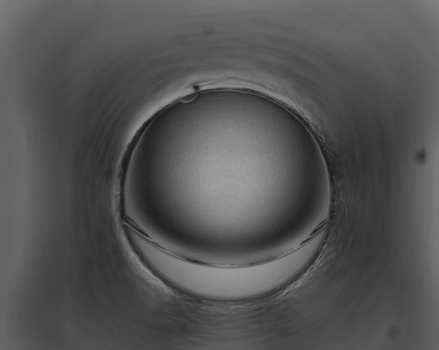 X0000095691518200801151137