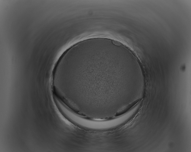 X0000095691519200801151137