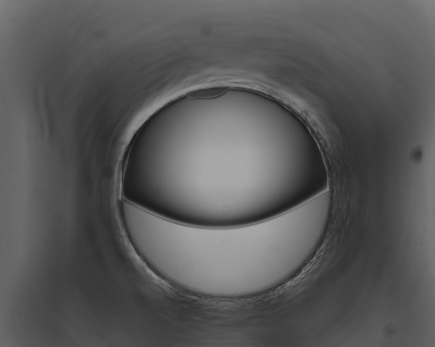 X0000095691520200801151137