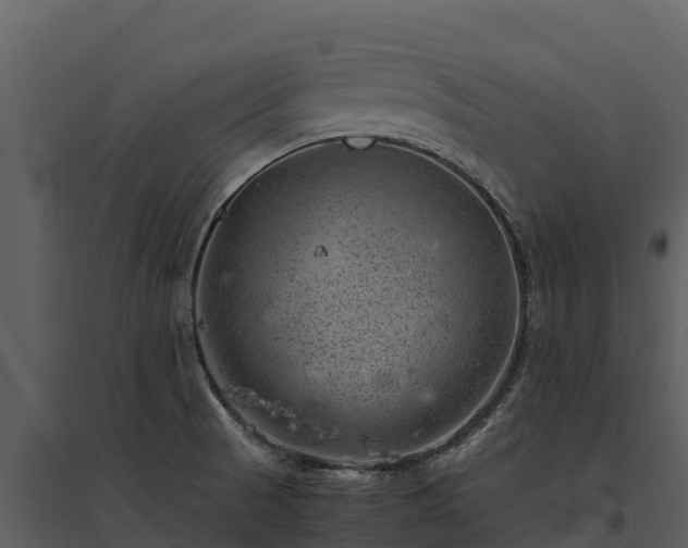 X0000095691521200801151137