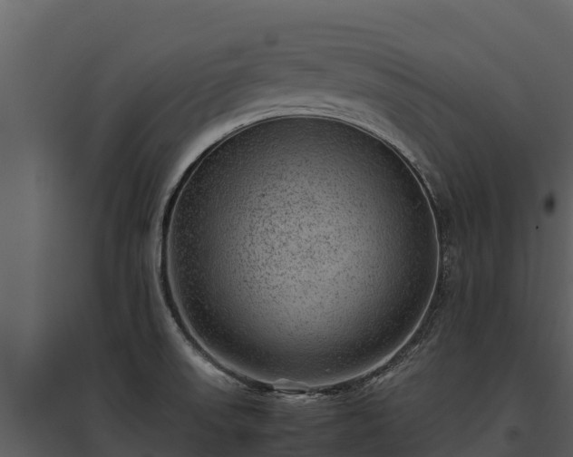 X0000095691523200801151137