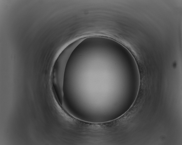 X0000095691524200801151137