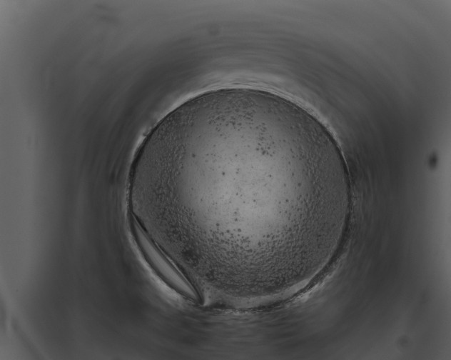 X0000095691525200801151137