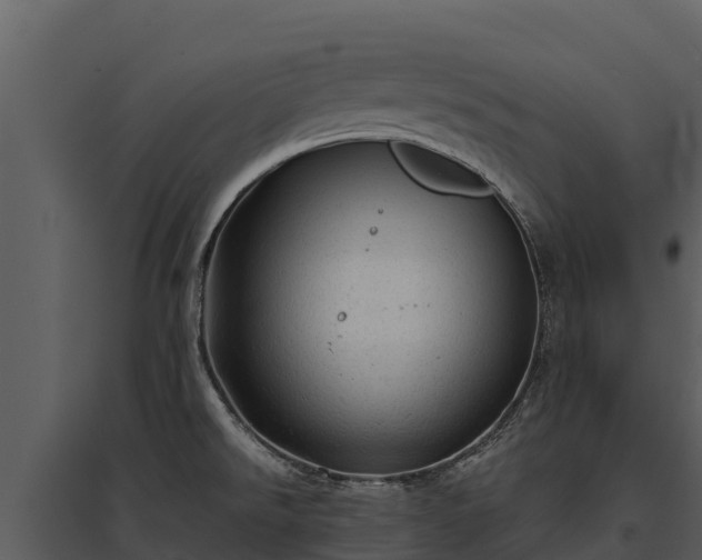 X0000095691526200801151137