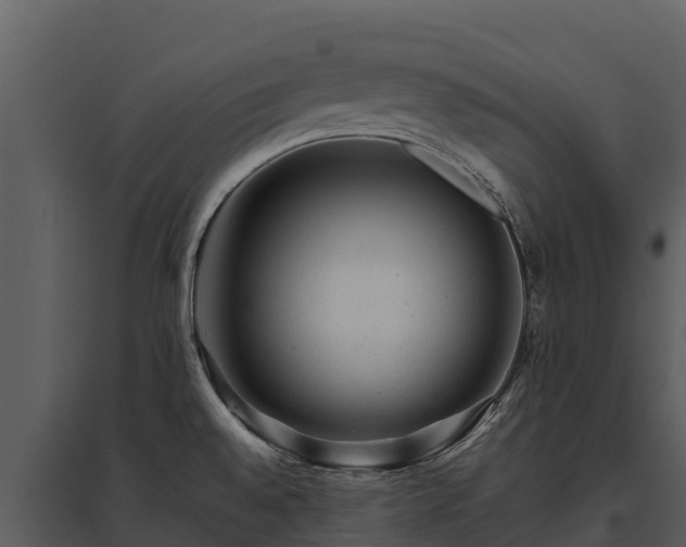 X0000095691528200801151137