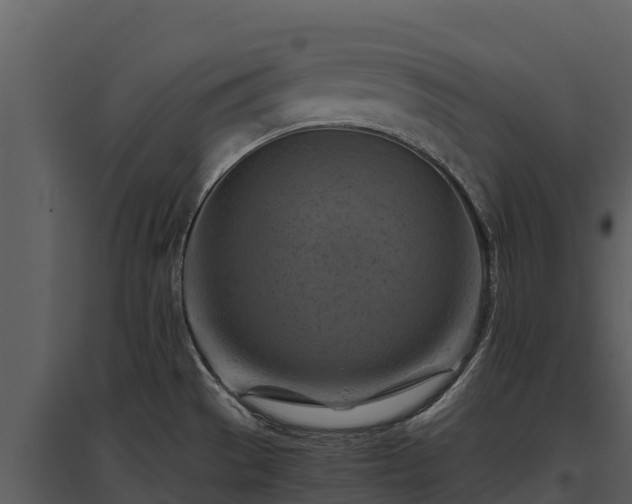 X0000095691529200801151137