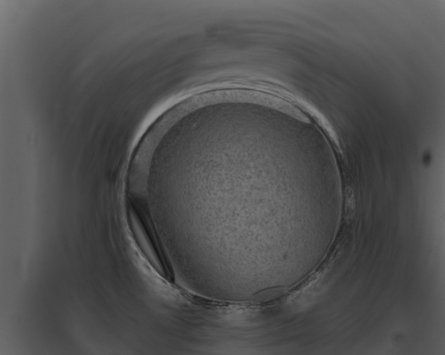 X0000095691530200801151137