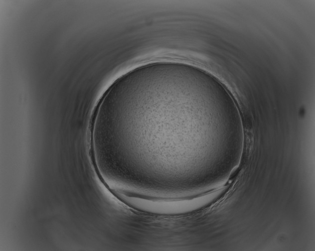 X0000095691531200801151137