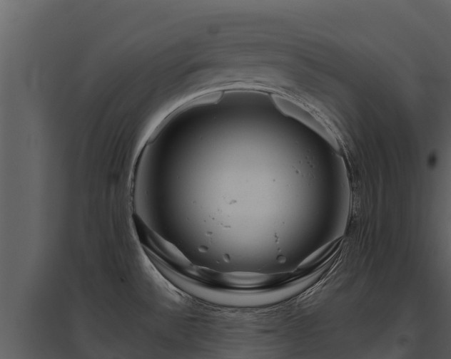 X0000095691532200801151137