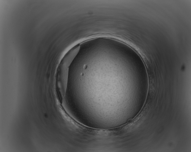 X0000095691534200801151137