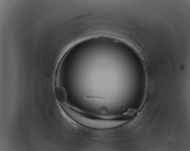 X0000095691535200801151137
