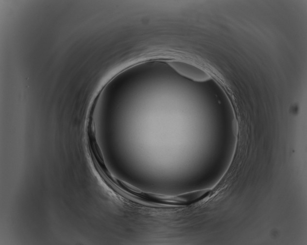 X0000095691536200801151137