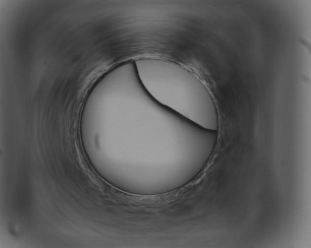 X0000095690001200801221257