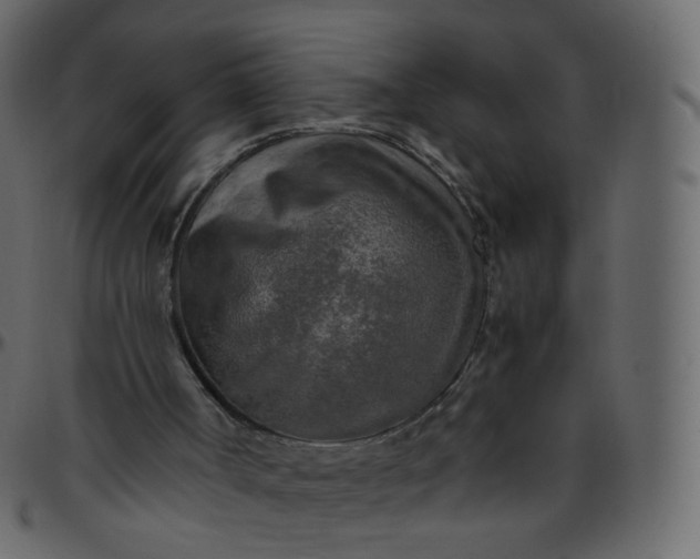 X0000095690002200801221257