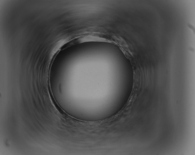 X0000095690003200801221257