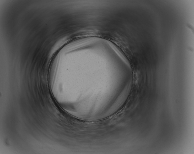 X0000095690004200801221257