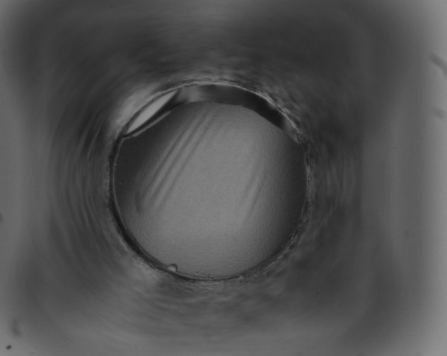 X0000095690005200801221257