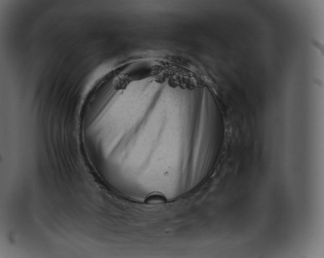 X0000095690006200801221257