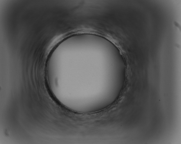 X0000095690007200801221257