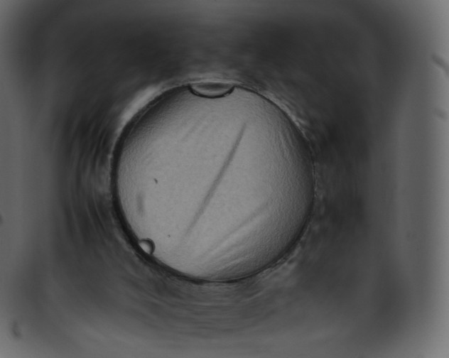 X0000095690008200801221257