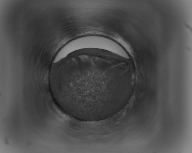 X0000095690009200801221257