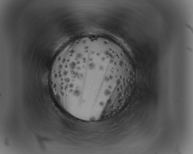 X0000095690010200801221257