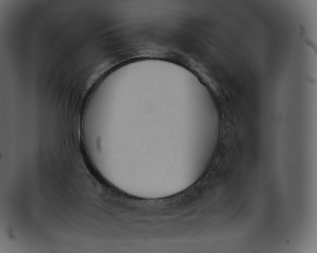 X0000095690011200801221257