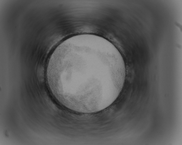 X0000095690012200801221257