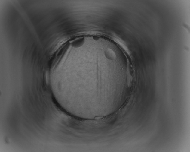 X0000095690013200801221257