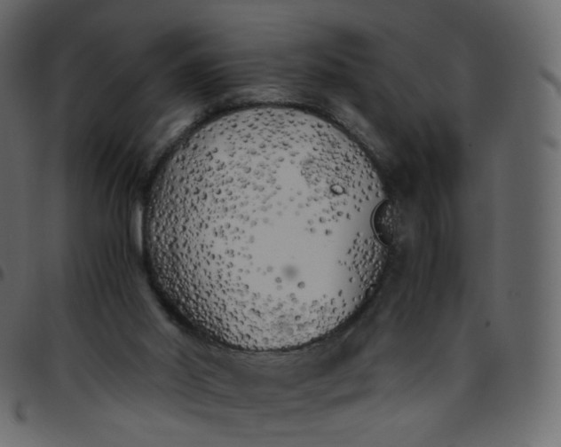 X0000095690014200801221257