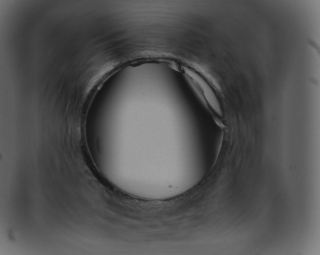 X0000095690015200801221257