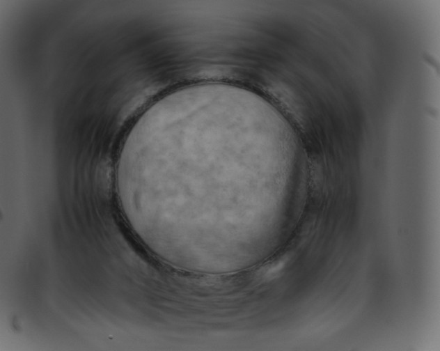 X0000095690016200801221257