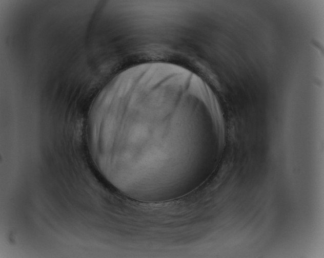 X0000095690018200801221257