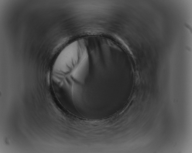 X0000095690019200801221257