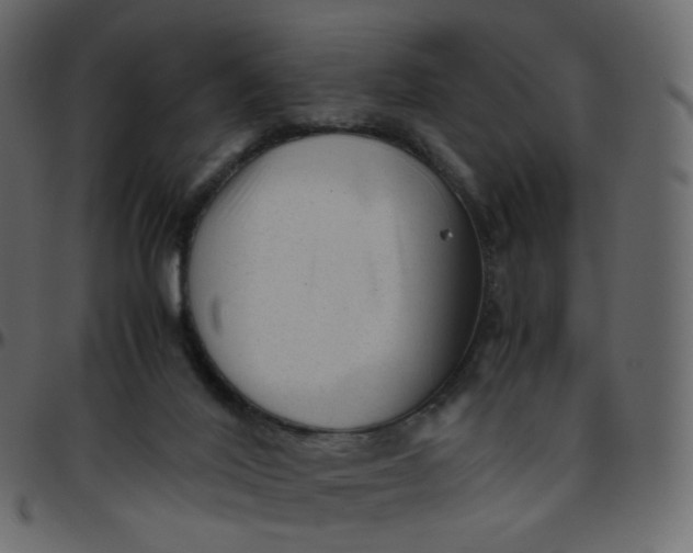 X0000095690020200801221257