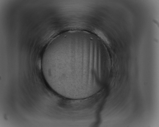 X0000095690021200801221257